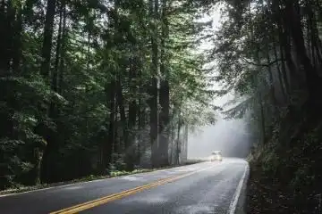 Manali trip in july