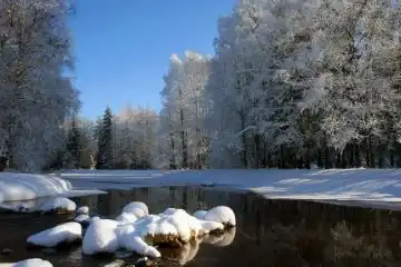 Manali in February