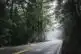 Manali trip in july